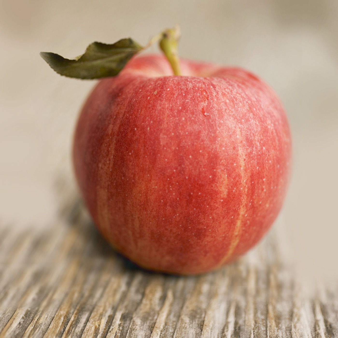 pomme rougemont
