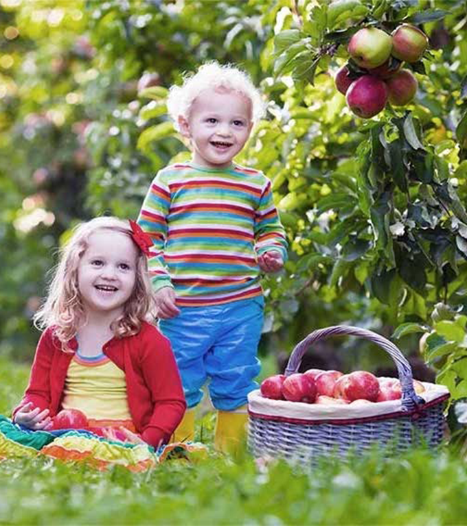 enfants dans un champ de pommes